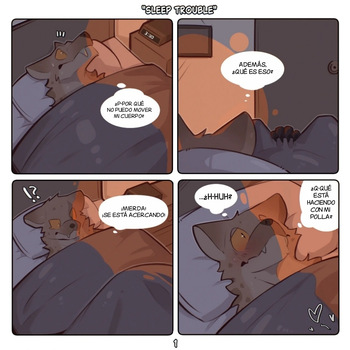 Sleep trouble cover