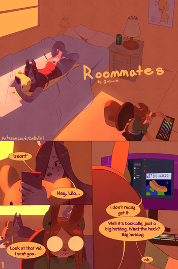 Roomates cover