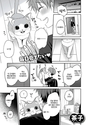 Hatsujou Nyanko wa goshujin ni amaetai cover