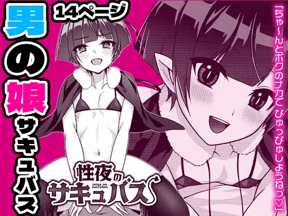 Seiya no Succubus page 1 full