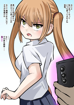 Sounyuu Sareru to Saimin ga Tokeru Seidorei