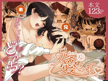 Please Fall in Love with Me, Big Bro! cover