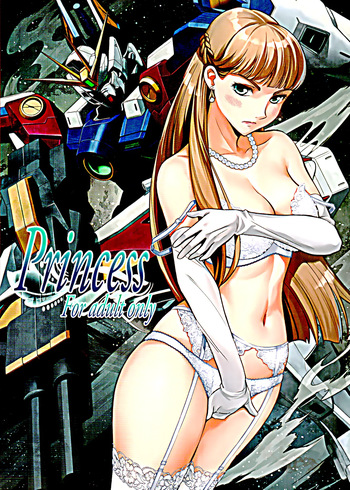 Princess cover