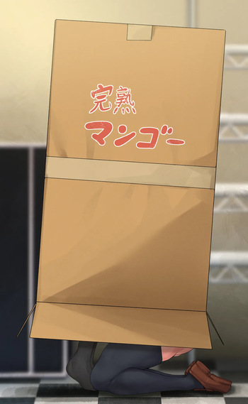 Bocchi x Ryo in the box cover