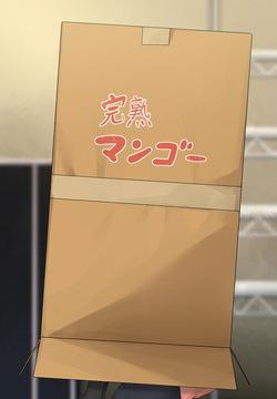 Bocchi x Ryo in the box