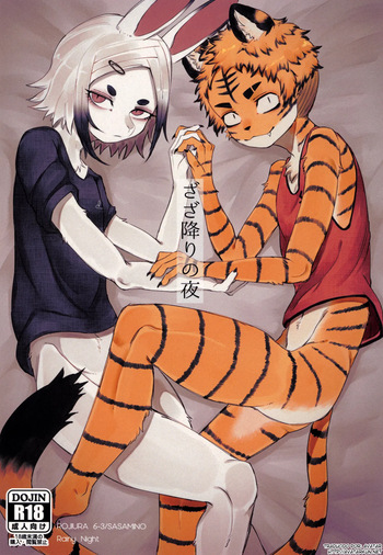 Zaza ori no yoru cover