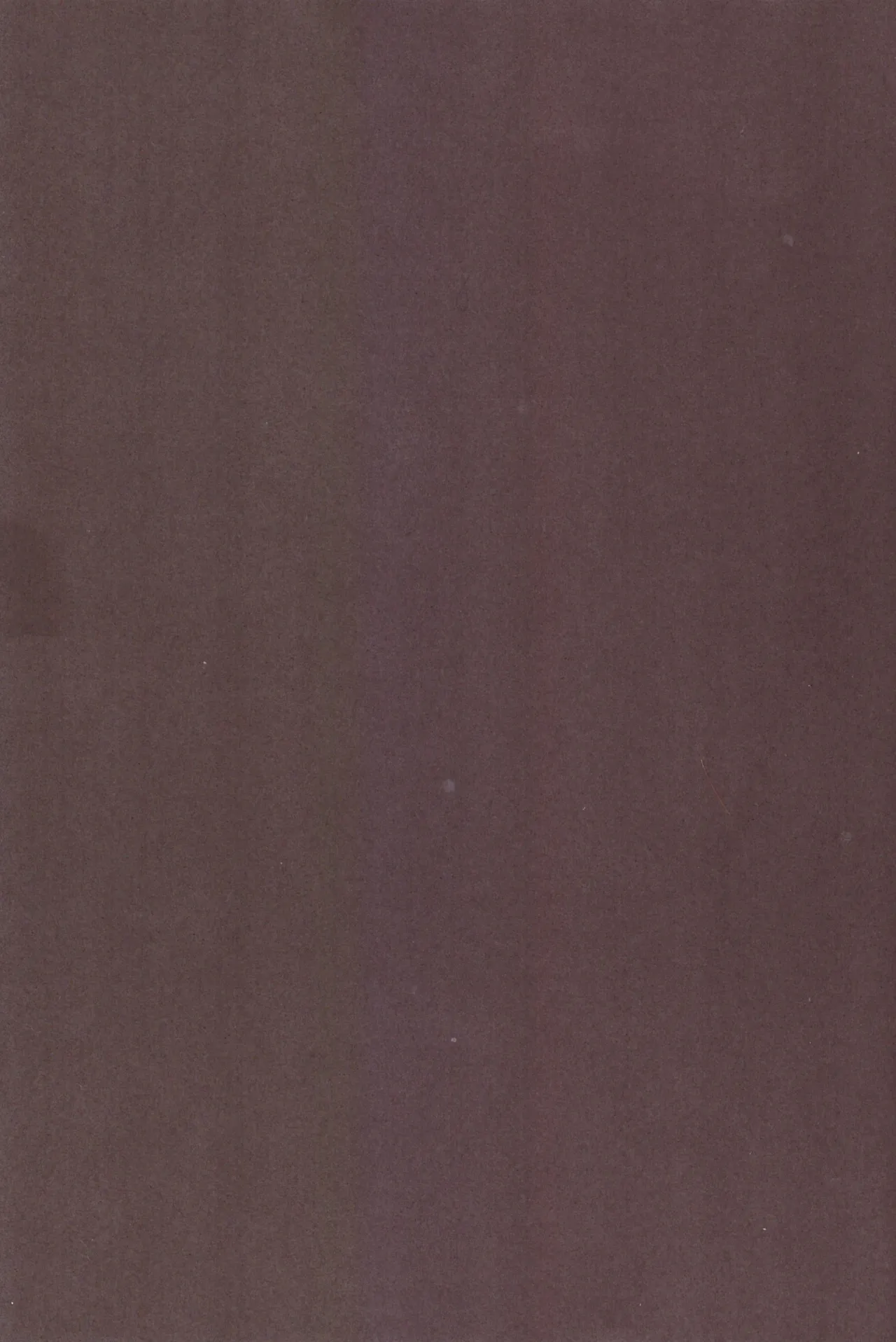 Shiri doru icchi to oshiri ni dashi tako ittō shō! page 4 full