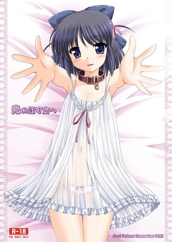 Hikari no Sasu Kata e cover