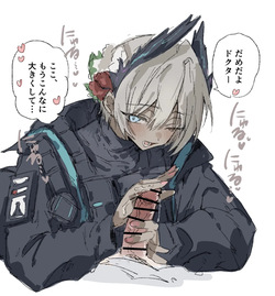 レイディアンとドクター 3ページ