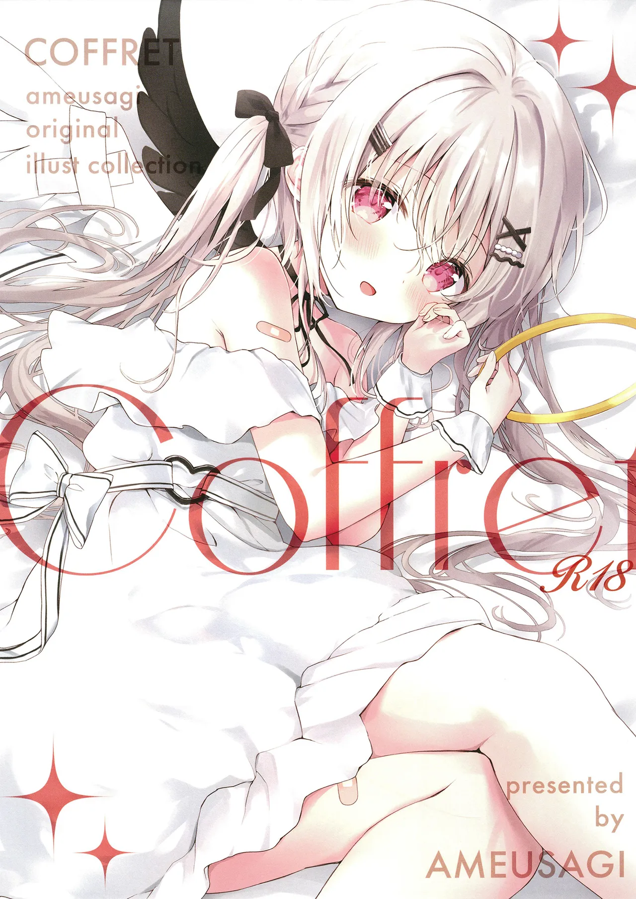 COFFRET ameusagi original illust collection page 1 full