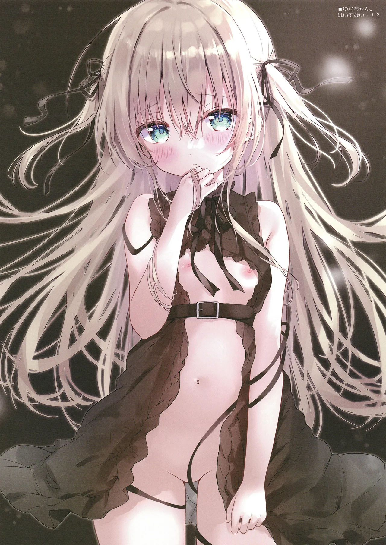 COFFRET ameusagi original illust collection page 5 full