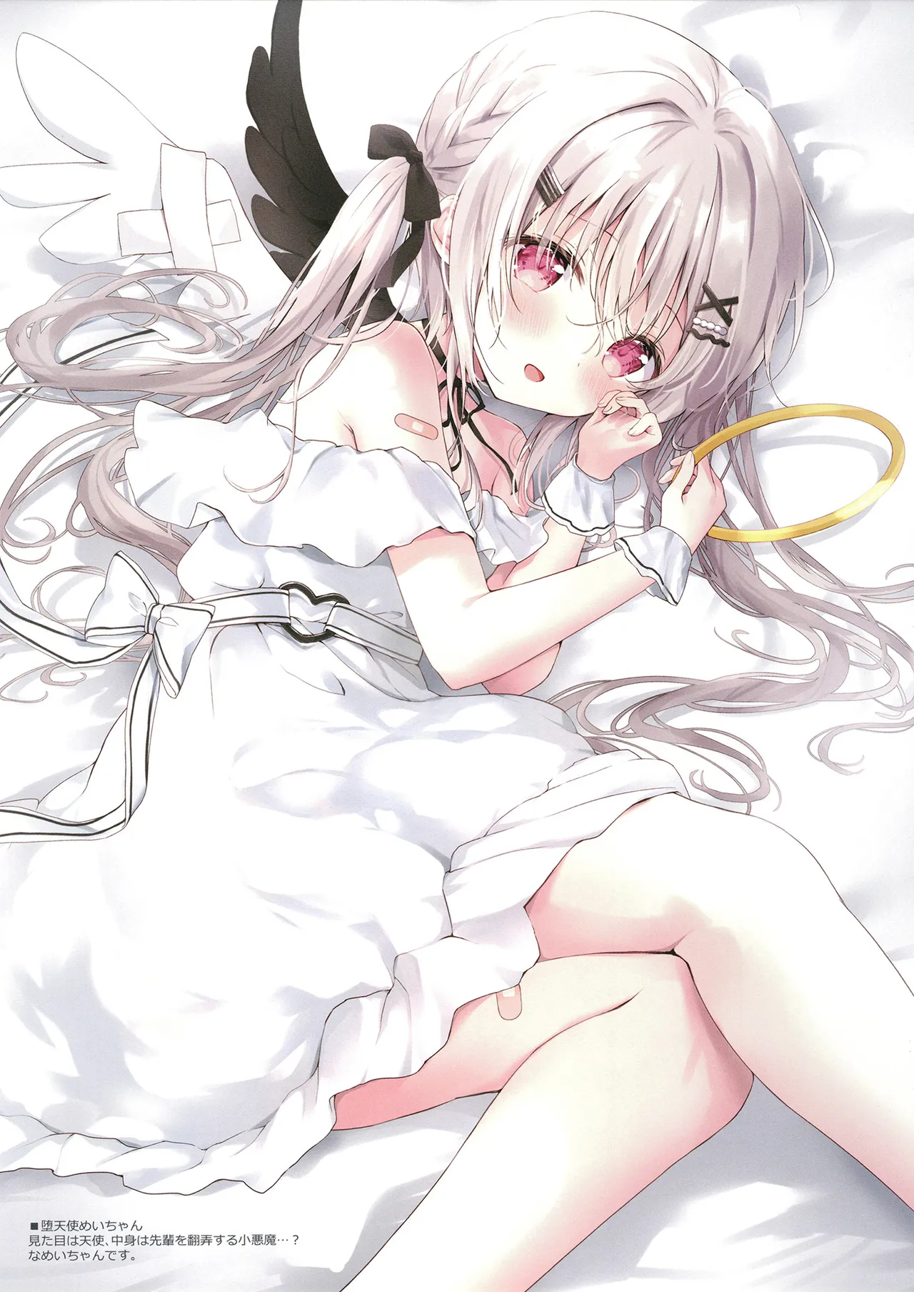 COFFRET ameusagi original illust collection page 6 full