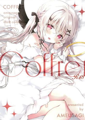 COFFRET ameusagi original illust collection cover