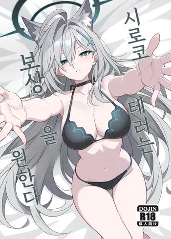 Shiroko Terror Gohoubi ga Hoshii | 시로코 테러는 보상을 원한다 cover