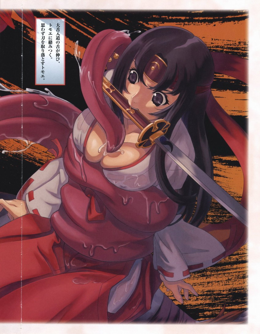 Queen's Blade Tomoe Collection page 10 full