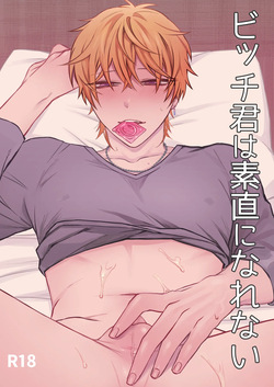 Bitchikun wa Sunao ni Narenai