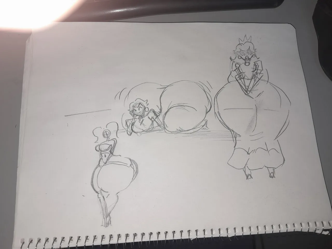 schnauzercito 2025 page 5 full