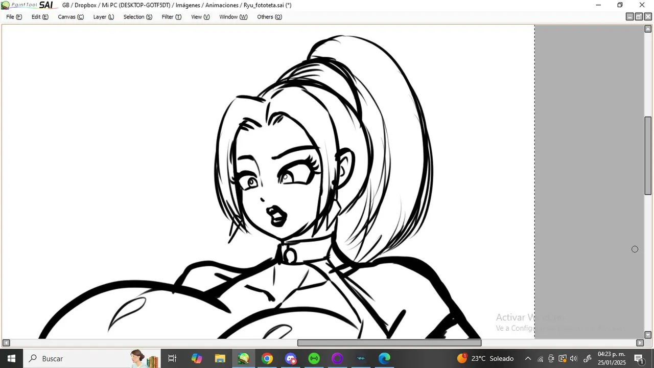 schnauzercito 2025 page 9 full