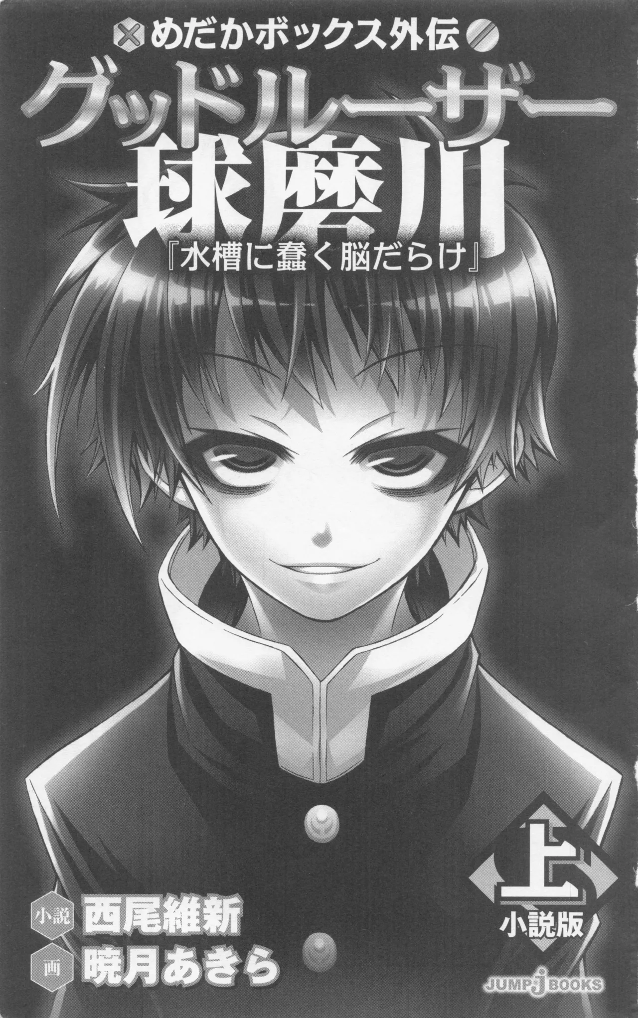 Medaka box: Novel Art Collection page 5 full
