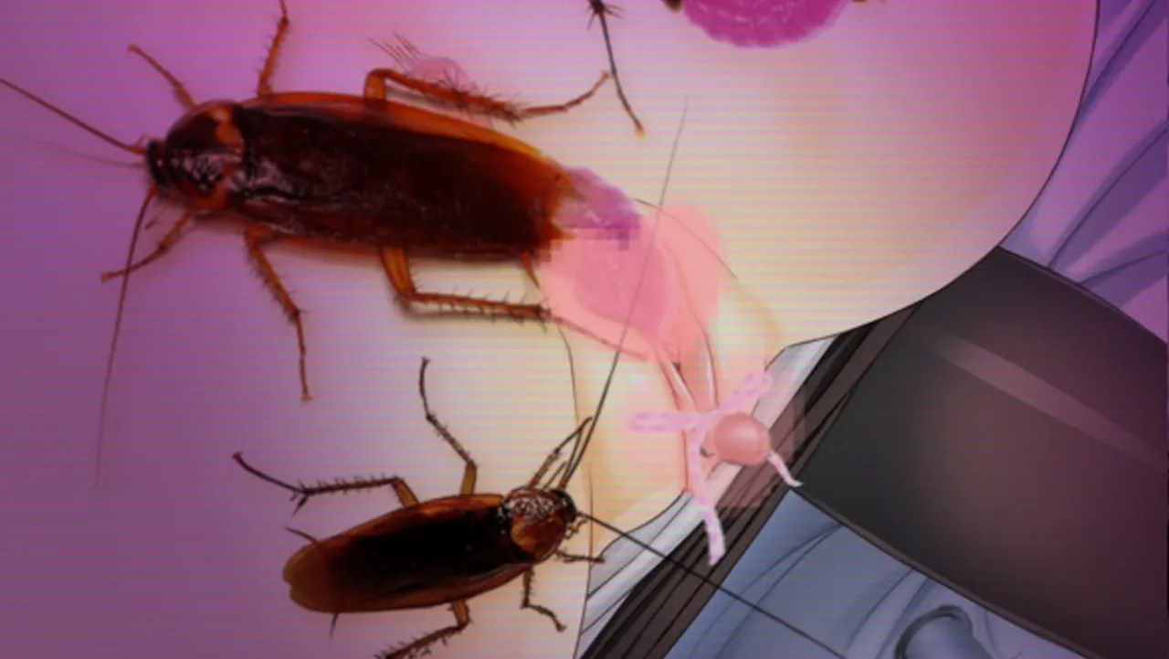 collaged insect hentai 2 page 10 full