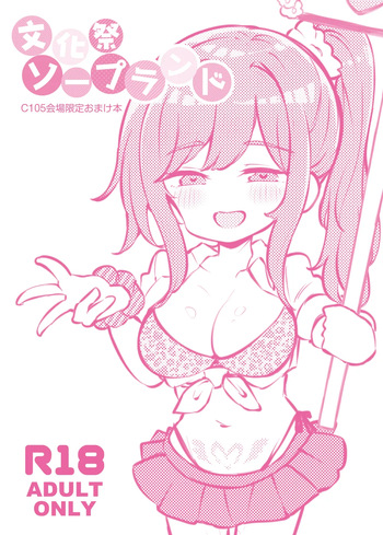 bunka sai so-purandoC105 kaizyou syousassi cover