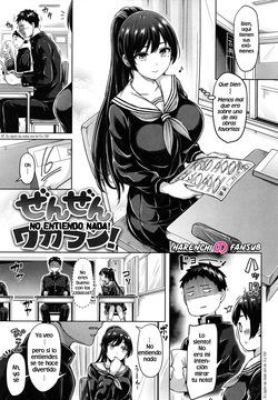 Zenzen Wakaran! | No entiendo nada!