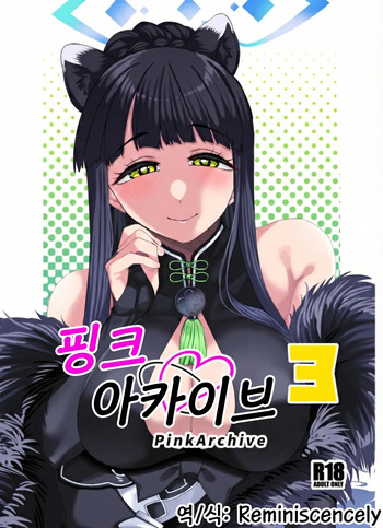 Pink archive 3 | 핑크아카이브3 cover