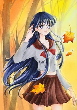 sailor jupiter | makoto kino