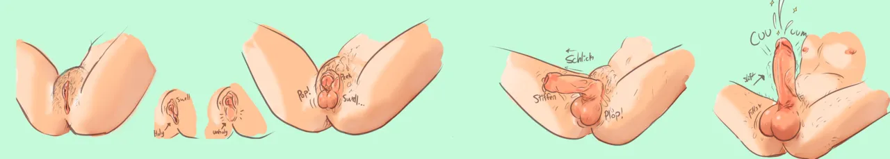 Anatomically Correct TG/TSF Genital Transformations page 4 full