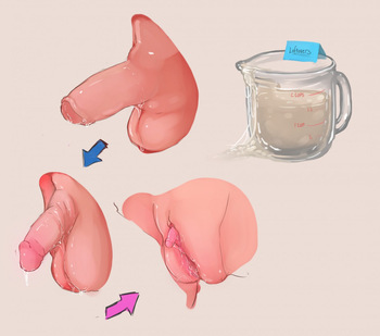 Anatomically Correct TG/TSF Genital Transformations cover
