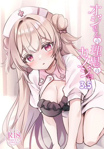 Ojisan no Risou no Kanojo 3.5 cover