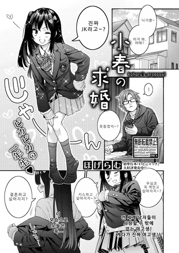 Koharu no Kyuukon cover