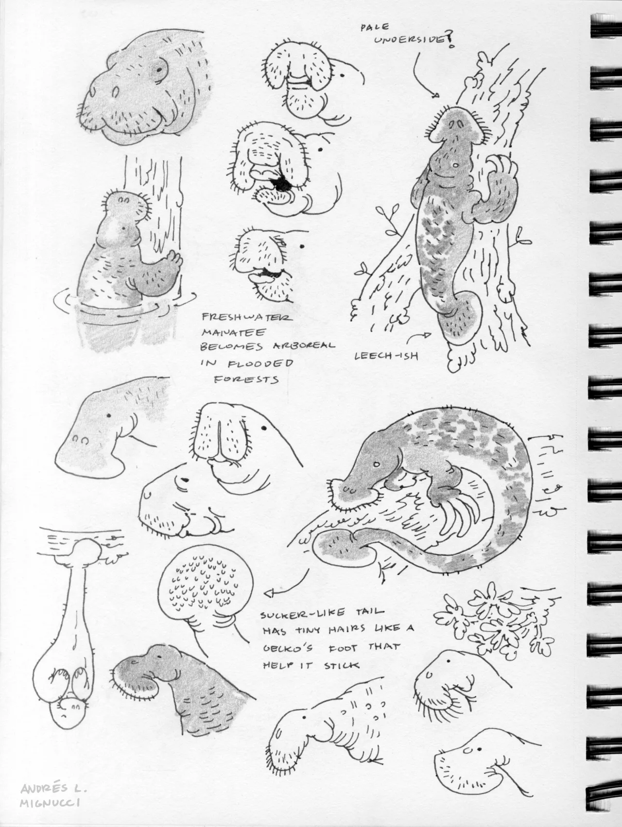 Artist:andreslmignucci page 3 full