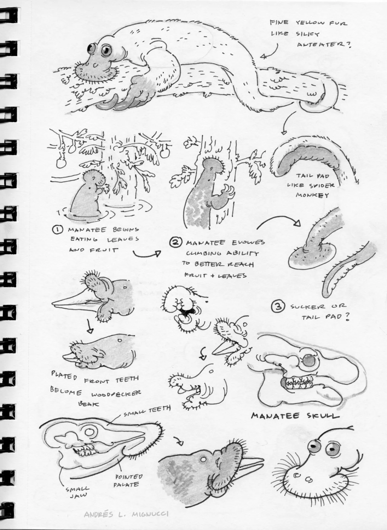 Artist:andreslmignucci page 4 full