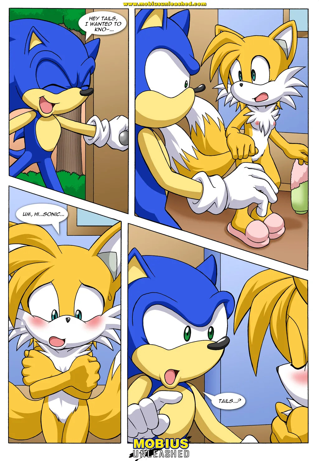 Mobius Unleashed: Tails Tales page 5 full