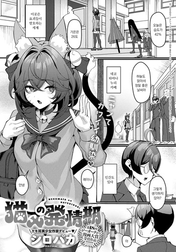 NEKOMATA no HATSUJOUKI cover