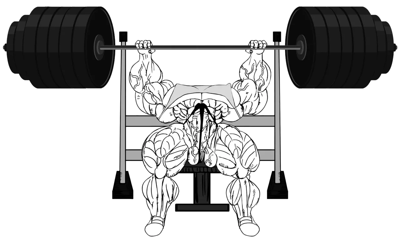 Coco Adel page 9 full