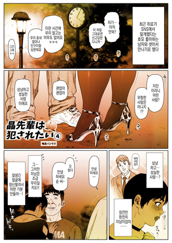 Akira Senpai wa Okasa Retai 4 | 아키라 선배는 범해지고싶어 4 cover