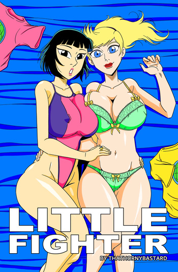 Little Fighter cover