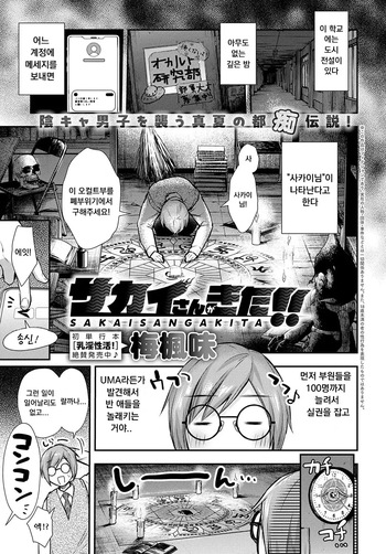 Sakai-san ga Kita!! | Sakai-san has come!! cover