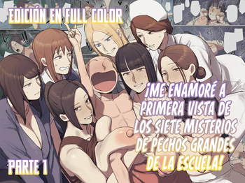 Gakkou no Chou Chichi Nana Fushigi ni Hitomebore! | ¡Me Enamoré a Primera Vista de Los Siete Misterios de Pechos Grandes de la Escuela! cover