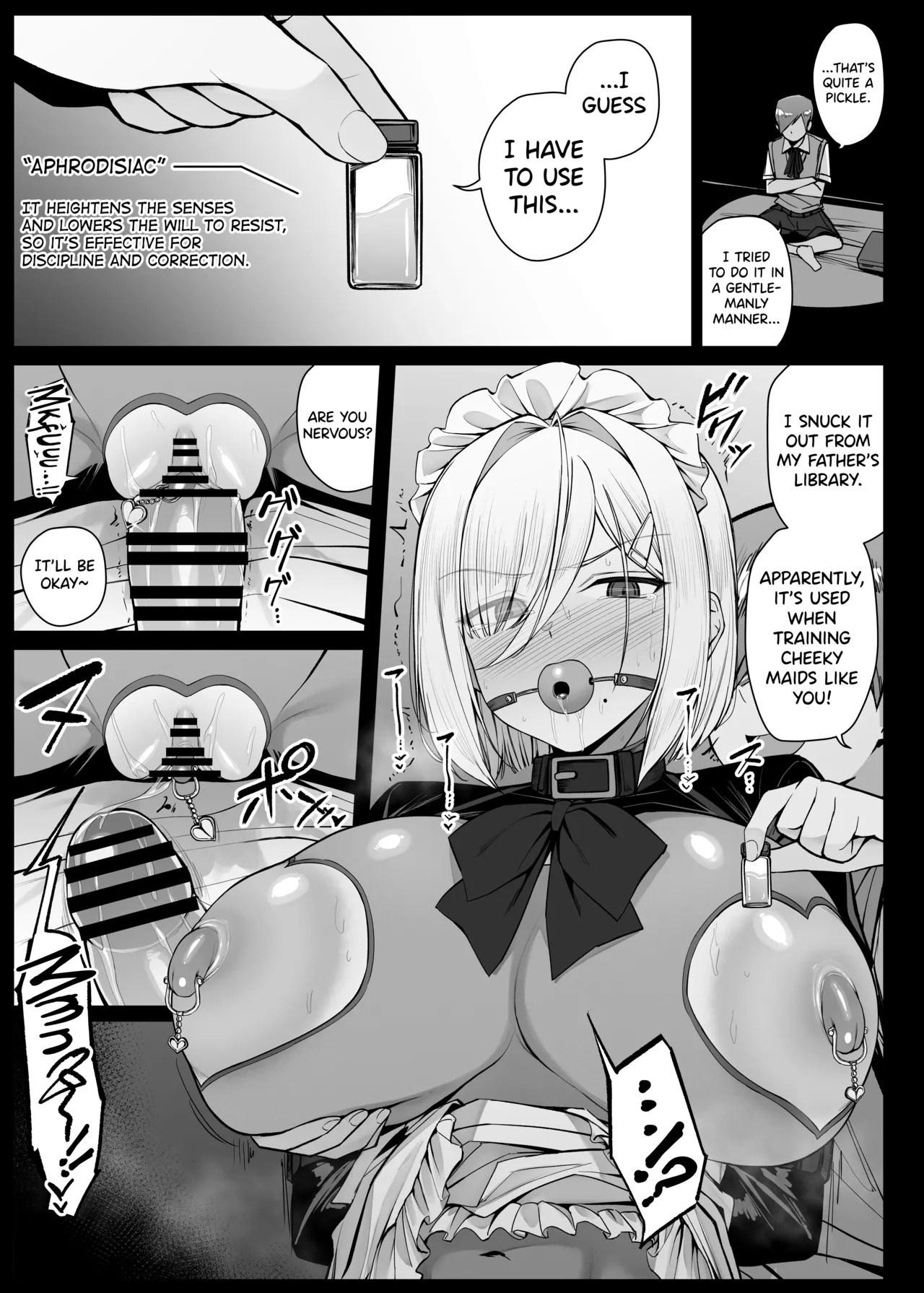 Bouchama ni Sakaratte, Shitsukerareru Koto ni natta Maid-san page 5 full