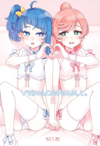 Sora-chan ni otintin ga Haemashita. 2 cover