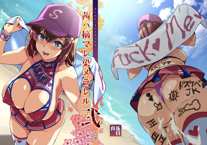 Takeda Hiromitsu Works page 4 full