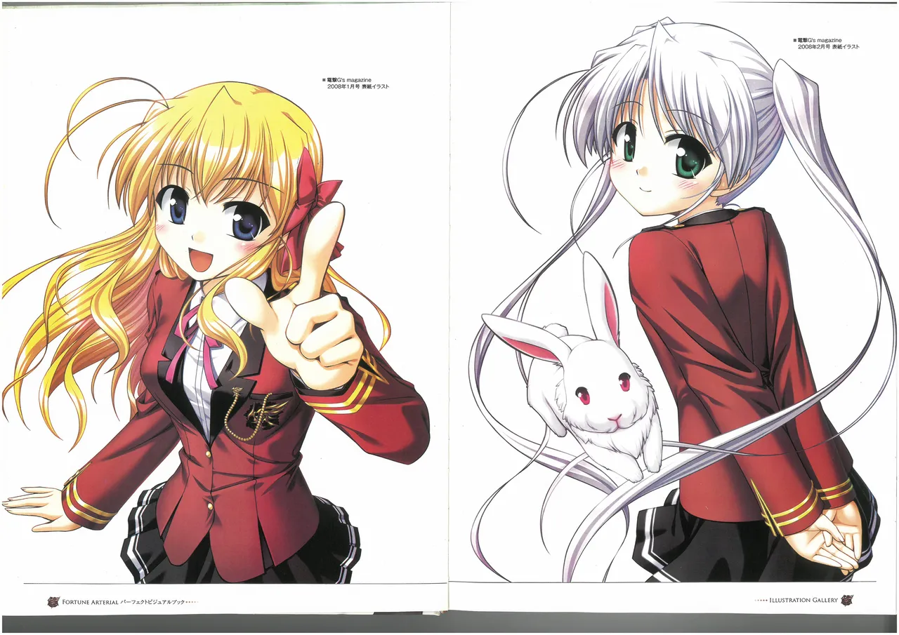 FORTUNE ARTERIAL PERFECT VISUAL BOOK page 5 full