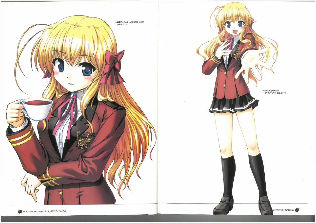 FORTUNE ARTERIAL PERFECT VISUAL BOOK page 9 full