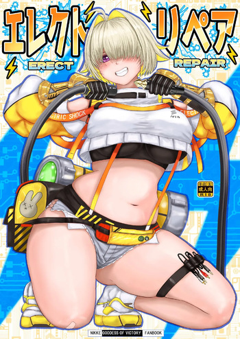 Erect Repair cover