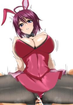 ルナマリア バニー