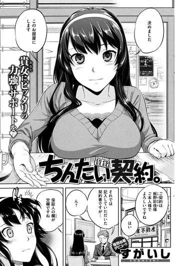 chintaikeiyaku.。 cover