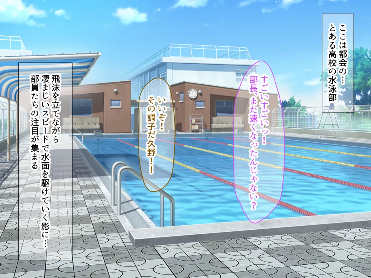 クールで完璧な水泳部部長と僕の離島生活 page 2 full